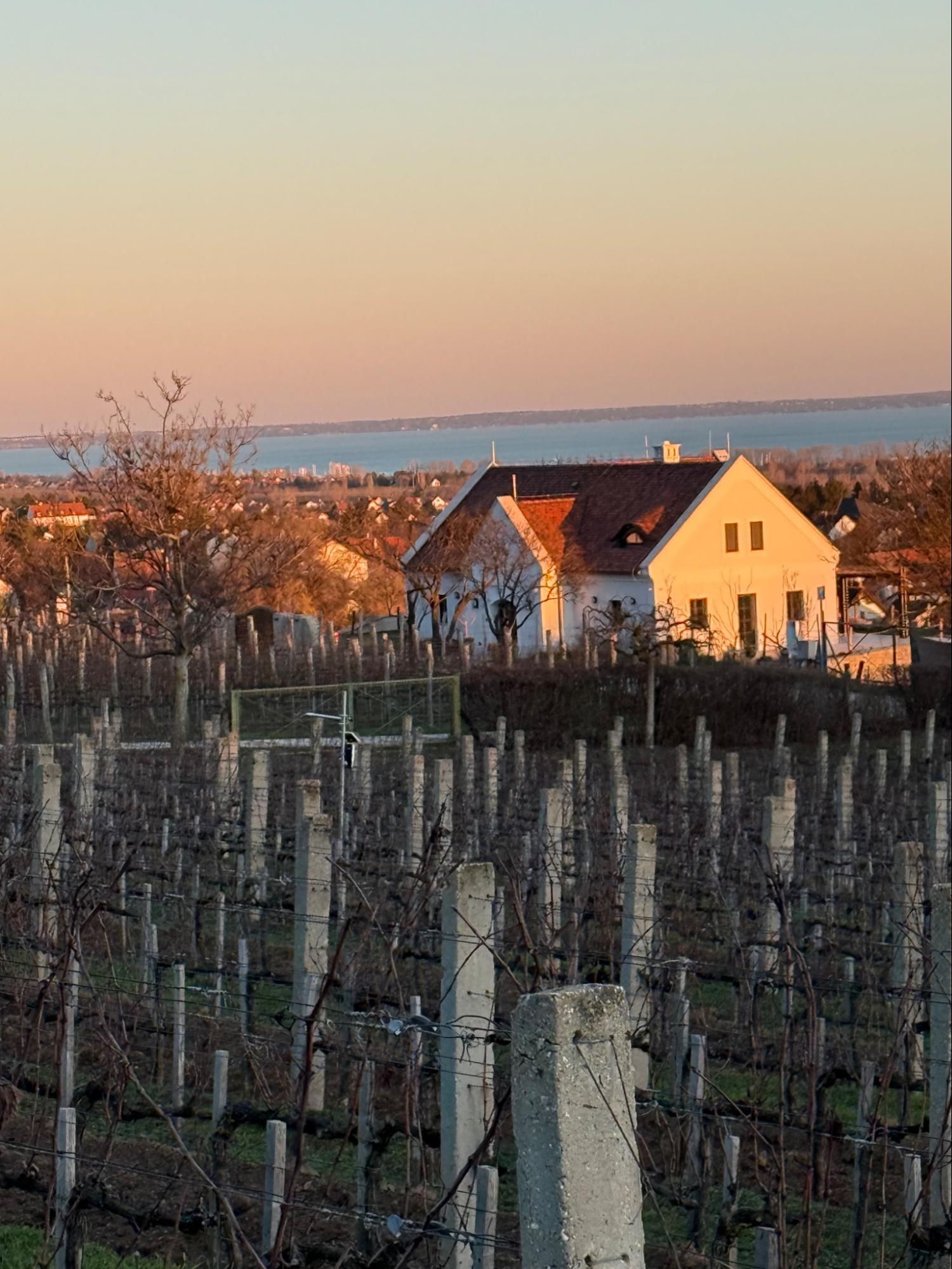 Petrányi Pincészet és Borászat